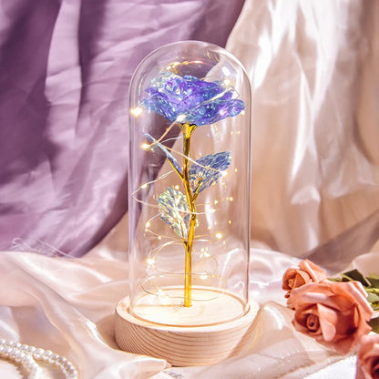 Gifts for Women Beauty and the Beast Preserved Roses in Glass Galaxy Rose LED Light Artificial Flower Birthday Gift for Girls