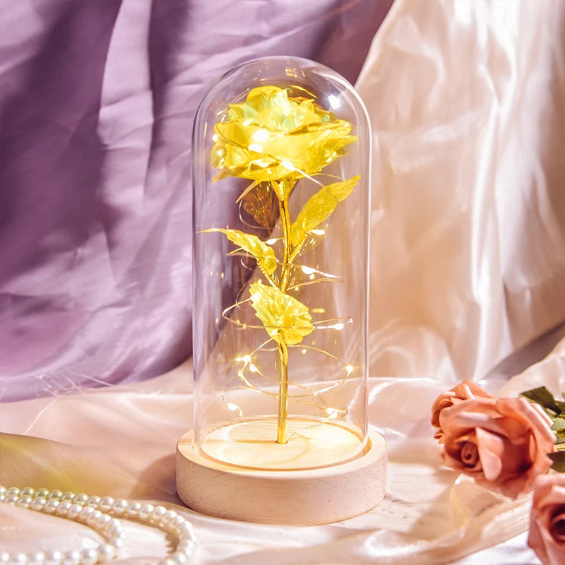 Gifts for Women Beauty and the Beast Preserved Roses in Glass Galaxy Rose LED Light Artificial Flower Birthday Gift for Girls