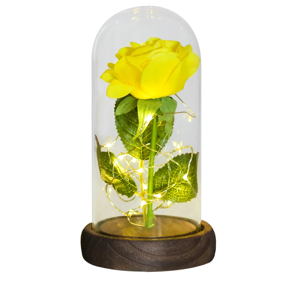 Gifts for Women Beauty and the Beast Preserved Roses in Glass Galaxy Rose LED Light Artificial Flower Birthday Gift for Girls