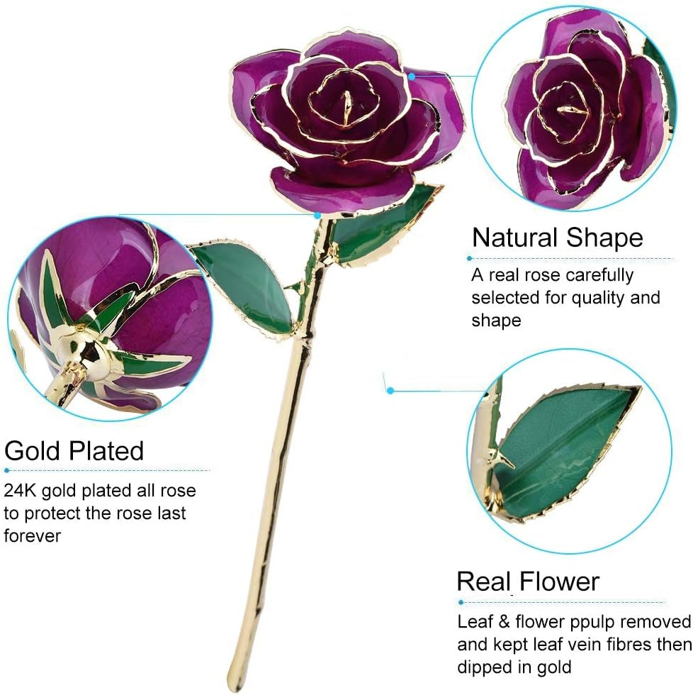 24K Purple Rose for Her, Eternal Eternity Love Real Gold Plated Rose Flower, Romantic Present for Wife, Mom, Grandma, Anniversary, Birthday, Wedding ( Purple)