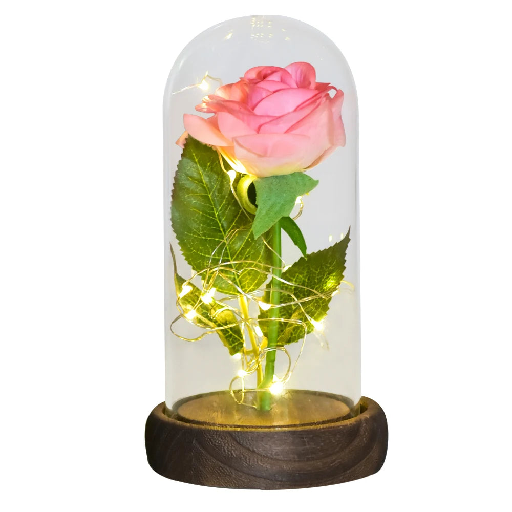 Gifts for Women Beauty and the Beast Preserved Roses in Glass Galaxy Rose LED Light Artificial Flower Birthday Gift for Girls