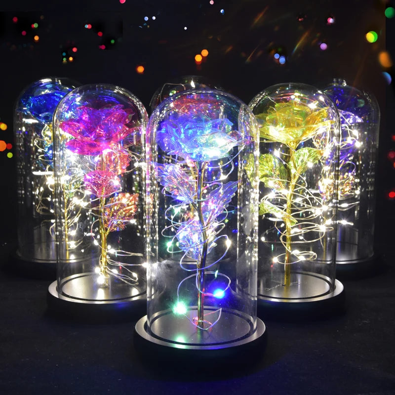 Gifts for Women Beauty and the Beast Preserved Roses in Glass Galaxy Rose LED Light Artificial Flower Birthday Gift for Girls