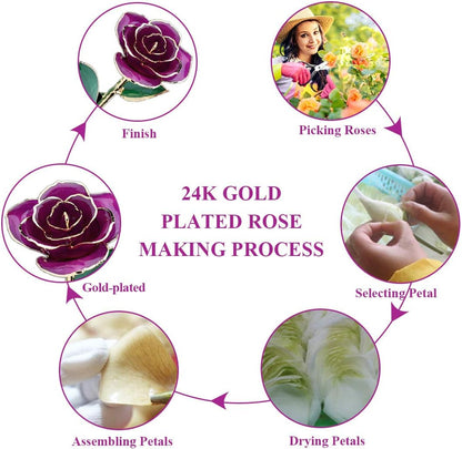 24K Purple Rose for Her, Eternal Eternity Love Real Gold Plated Rose Flower, Romantic Present for Wife, Mom, Grandma, Anniversary, Birthday, Wedding ( Purple)